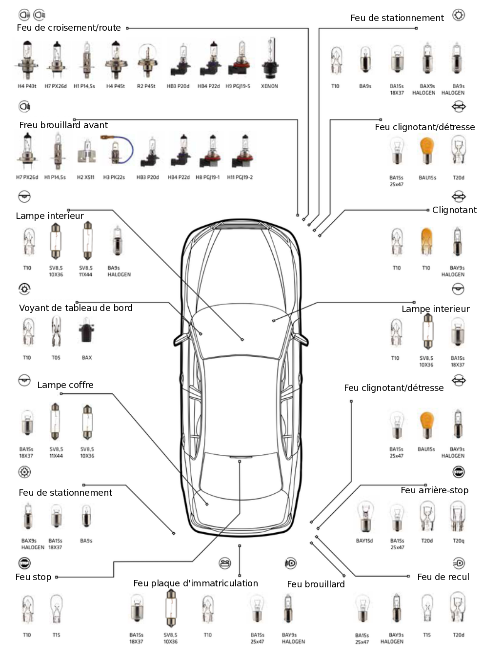 Ampoules voiture bosma applications fr