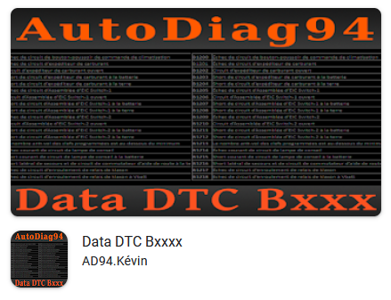 Data DTC Bxxxx